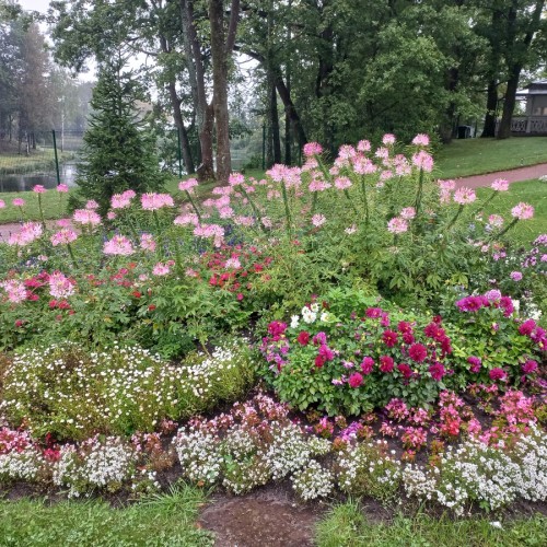 Дворцово-парковый ансамбль в Гатчине — из Петербурга