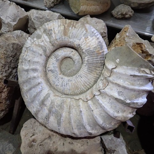 Путешествие в Адыгею: от пещер до самых до вершин