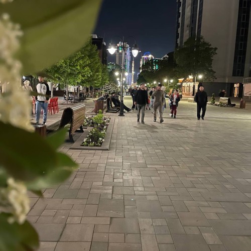 Индивидуально по Чечне и Дагестану: 2 республики за выходные