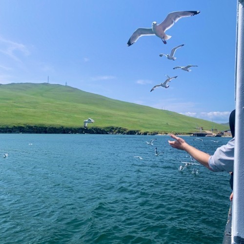 На выходные на Ольхон из Иркутска: знакомство с островом и досуг на выбор
