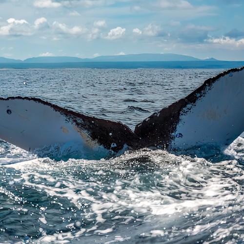 Почувствуй край земли: магия дальних островов Кунашир и Шикотан в мини-группе