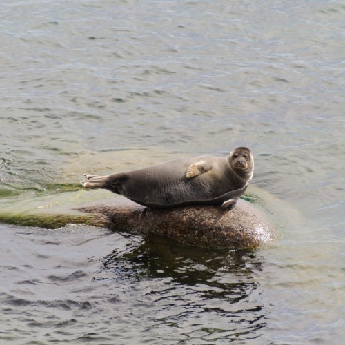 За трофеями на Байкал с местными: рыбалка с катера, катамарана и на реках