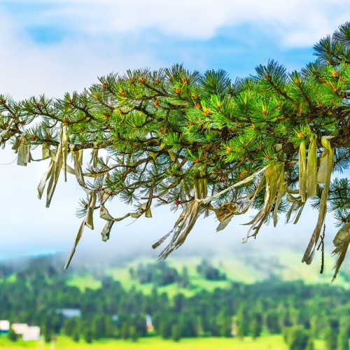 Чуйский тракт — одна из красивейших дорог мира