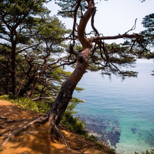 Всё самое интересное на юге Приморья