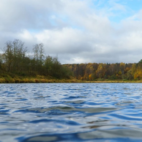 Выходные на Угре: рыбалка с обучением и отдых на природе (всё включено)