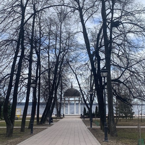 Петрозаводск — от памятника основателю до тайги