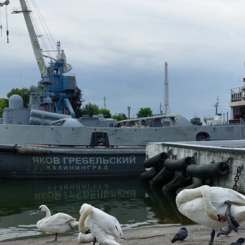 Балтийск с мэром — на групповой экскурсии