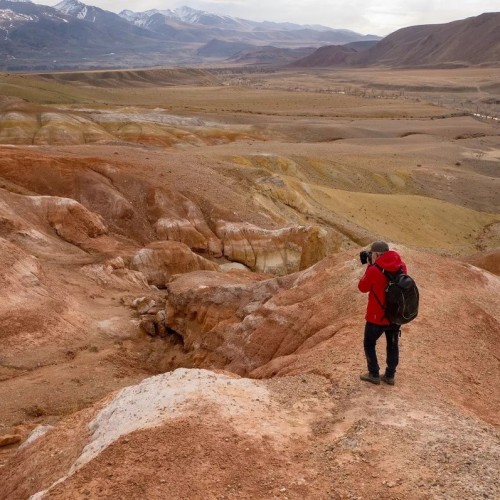 Майские на Алтае в сезон цветения маральника с ежедневными прогулками (всё включено)