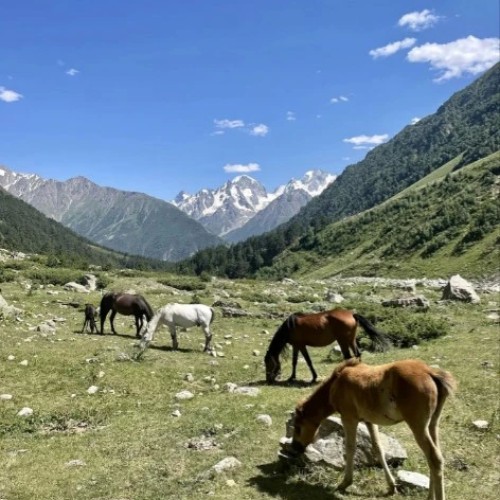 Комфортный треккинг в Приэльбрусье в мини-группе