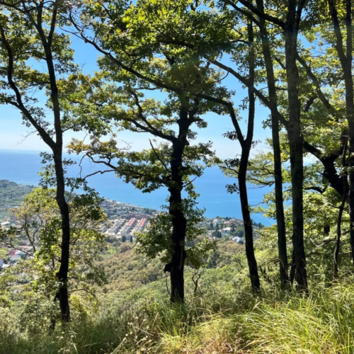 В гости к друиду: выходные в горной долине Шахе (мини-группа)