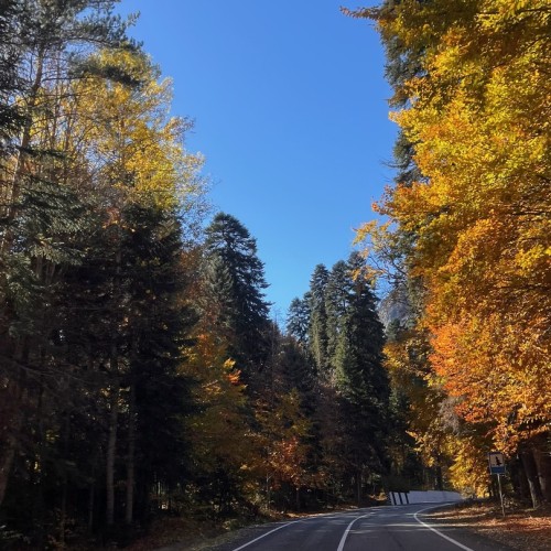 Индивидуально на внедорожнике из КМВ в Домбай