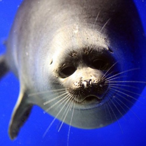 От Иркутска до Улан-Удэ: тур по Байкалу с прогулкой на катере, национальной кухней и экскурсиями