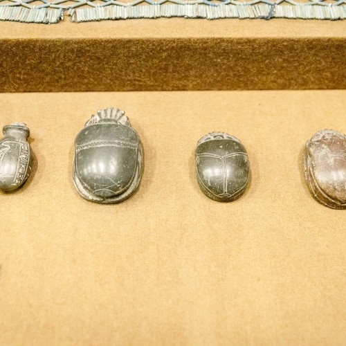 В Египетский зал Эрмитажа с энтомологом