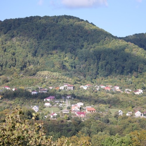 На лошадях по предгорьям Сочи: прогулки для новичков и опытных всадников