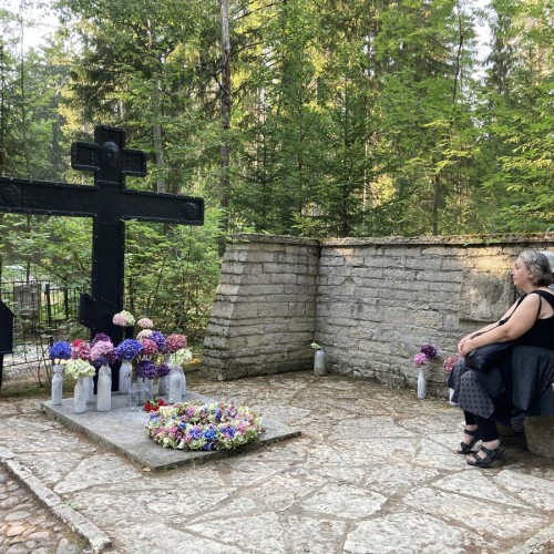 Лесная сторона Комарово: от дач до «будки» Ахматовой