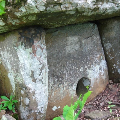 Перезагрузка в горах и на море в мини-группе