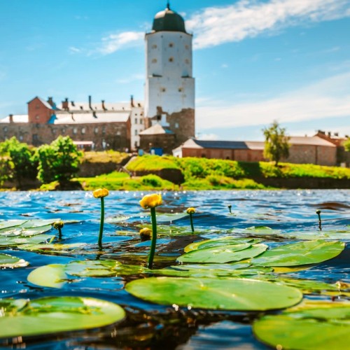 Выходные на берегах Выборгского и Финского заливов только для вашей компании