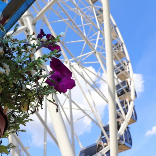 Тур-перезагрузка: трип из Владимира в Суздаль на 2 дня