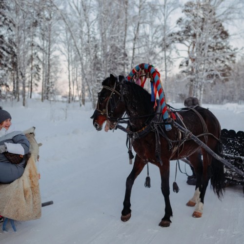 Дышать зимним Алтаем