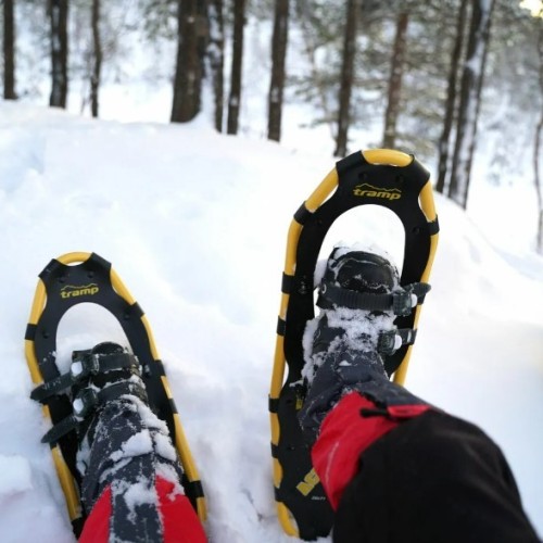 Карелии снежный узор: топовые места, зимние активности и прогулки на природе