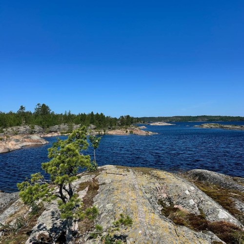 Заповедная Карелия на внедорожнике, лодке и сапе: проживание в домиках на Ладожском озере