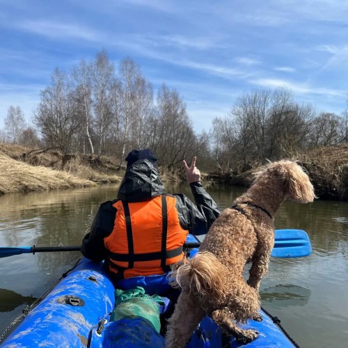 Первый раз с веслом в руках: лёгкий сплав по реке Воре (всё включено)