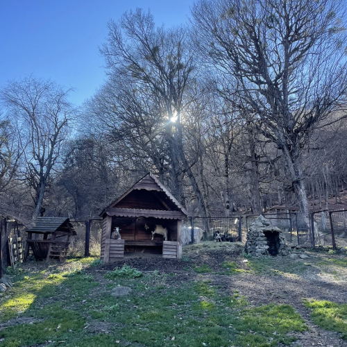 По Домбаю в мини-группе: горы, озеро Кара-Кёль и Тебердинский заповедник
