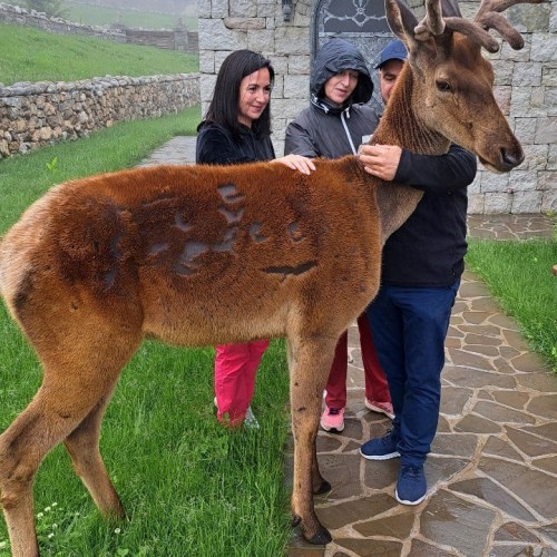 3 дня в Чечне: индивидуальное путешествие с экскурсиями на выбор