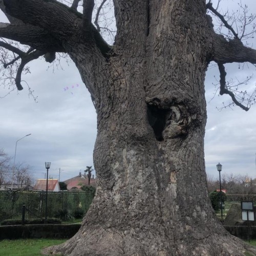 От сочинских водопадов до абхазских склонов: индивидуальный выезд