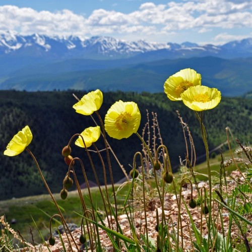 По знаковым местам Чуйского тракта в мини-группе
