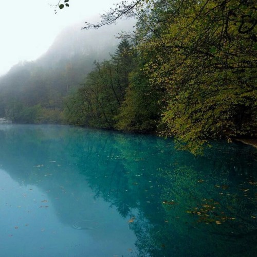 Россыпь цветов и мириады звёзд: астропоход в сердце гор (мини-группа)