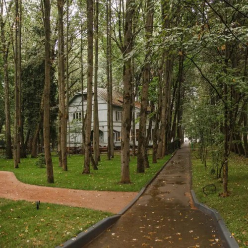 «Шерше ля фам» — ищите женщину в Переделкино (из Москвы)
