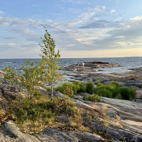 Популярная Карелия: топовые места и отдых в глэмпинге на берегу Ладоги