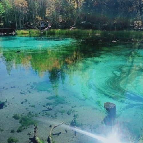 По цветущему Алтаю с выездом из Новосибирска и Горно-Алтайска: топовые места