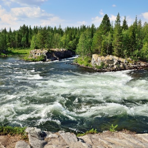 Экстремальная экспедиция на вездеходах: 1000 км вдоль Баренцева и Белого морей (всё включено)