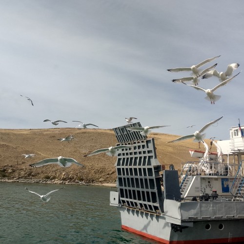 Степи бурятские, сторона байкальская: Ольхон, мрамор, туманные склоны и мастер-класс (индивидуально)