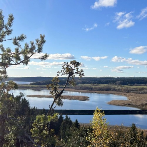 Перезагрузка в Карелии: йога, прогулки на природе и главные места (из Санкт-Петербурга)