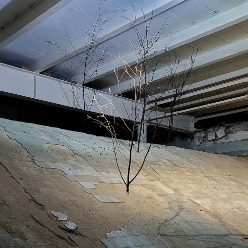 Собор как камертон эпохи