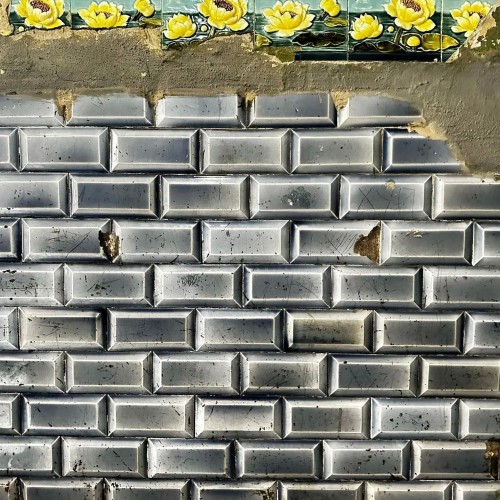 Тайная жизнь дворов и доходных домов Петербурга