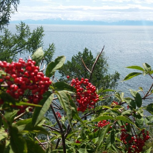Хайкинг по Большой Байкальской тропе
