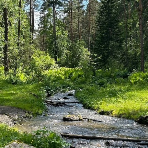 Вдохновение Алтая: ретрит в женской мини-группе с проживанием в уединённых домиках