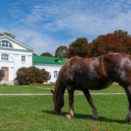 Выходные в Туле и области с мастер-классами и чаепитием