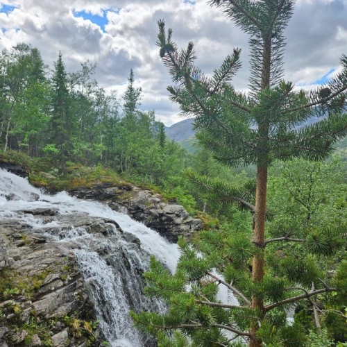 Океан впечатлений в Арктике: морская прогулка, треккинг и джип-тур в Хибины