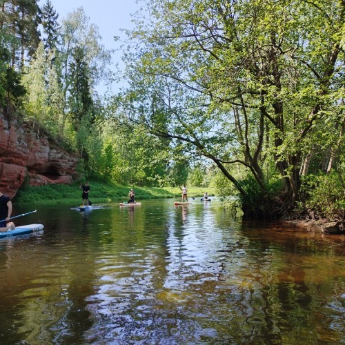 Сап-прогулка по реке Оредеж — из Петербурга