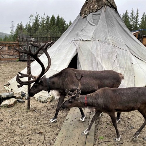 Большое приключение на Кольском в мини-группе: Териберка, корабли и красоты Арктики
