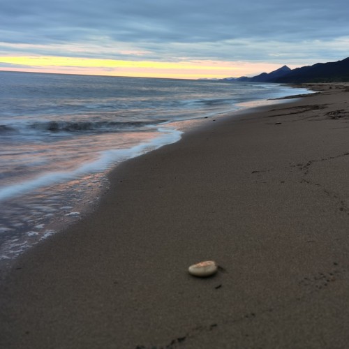 Сахалин с историей: автопутешествие-детокс с ночёвками в палатках на природе (индивидуально)