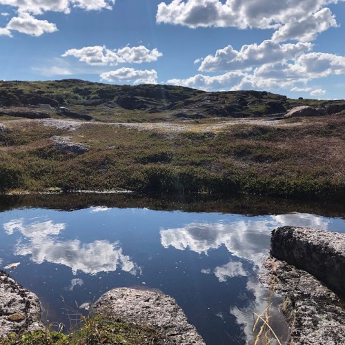 Уик-энд на Кольском: дегустация морепродуктов, Териберка, киты и экскурсия по Мурманску