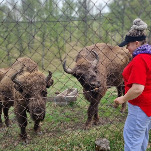 Знакомство с достопримечательностями, флорой и фауной Горного Алтая с проживанием в экодоме