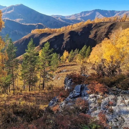 Конный тур для новичков по осеннему Алтаю с проживанием на базе. Всё включено