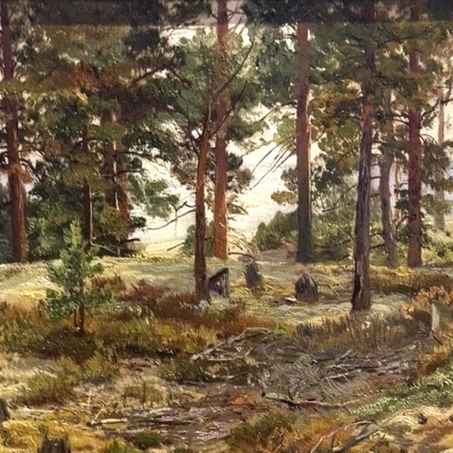 Экскурсия по выставке Шишкина в Русском музее